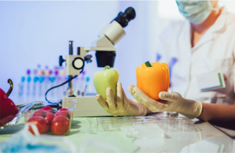 Unveiling the Truth: A Comprehensive Guide to Food Intolerance Test